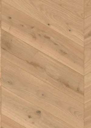 Dąb Steppe Rustic