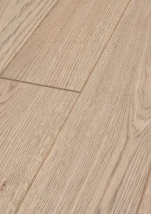 Dąb Brandon